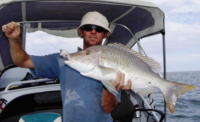 onslow spanglie onslow spanglie